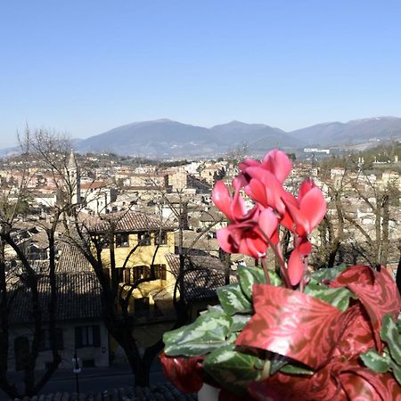 Le Mura Antiche Spoleto Exterior photo